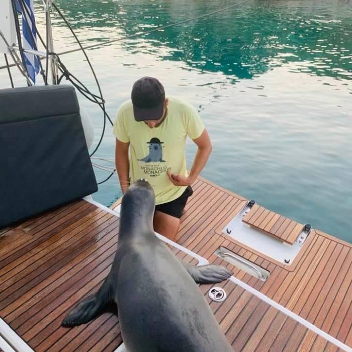 Celene | Sun Odyssey 440 photo 21