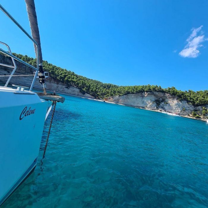 Celene | Sun Odyssey 440 photo 6