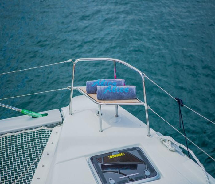 Alice | Lagoon 46 photo 24