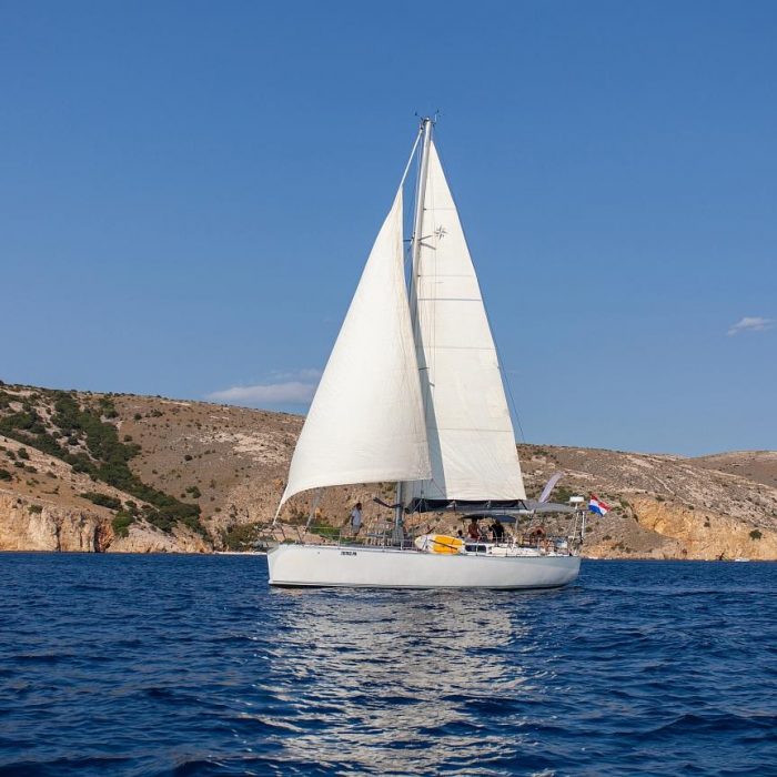 Amica | Dolphin 50 photo 8
