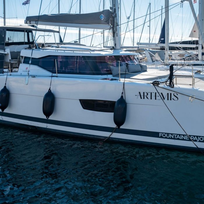 Artemis photo 10