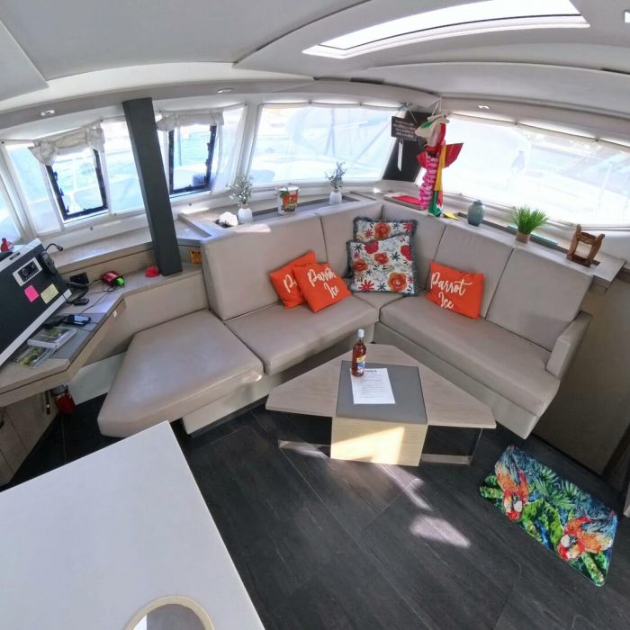 Parrot Ice | Saona 47 photo 13