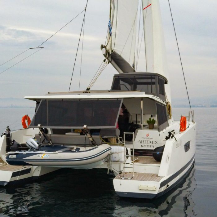 Artemis photo 7