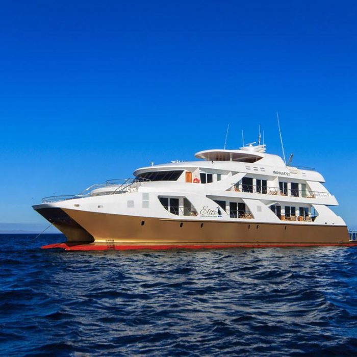 Elite | Power Catamaran photo 1