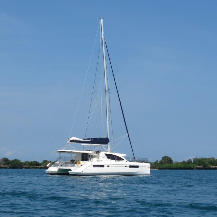Premium | Leopard 48 photo 1