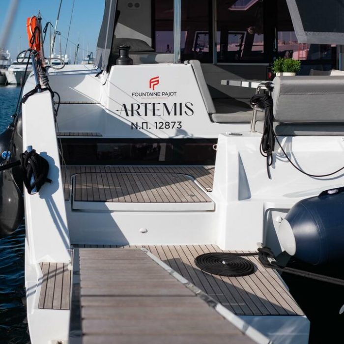 Artemis photo 18