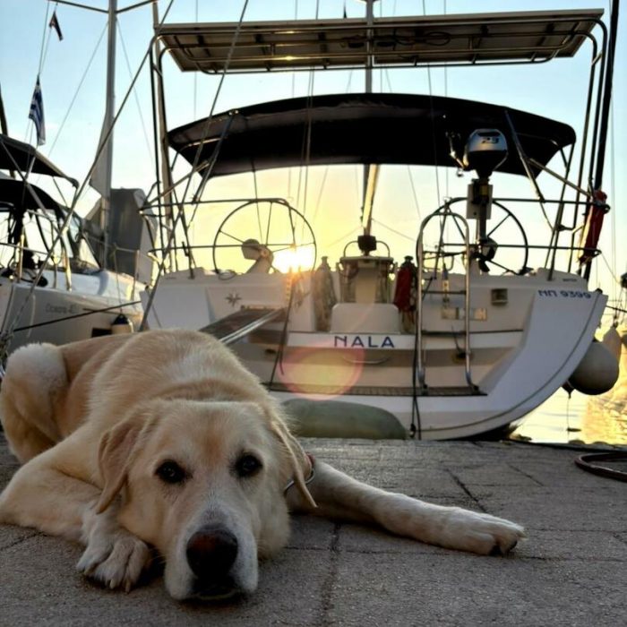 Nala | Sun Odyssey 45 photo 5 Nala | Sun Odyssey 45 photo 5