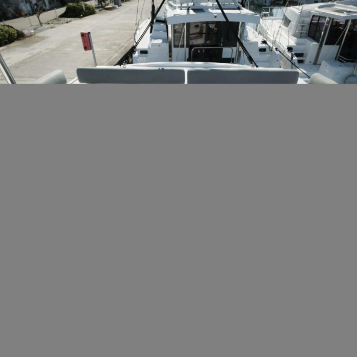 Amon-Re | Bali Catspace photo 29