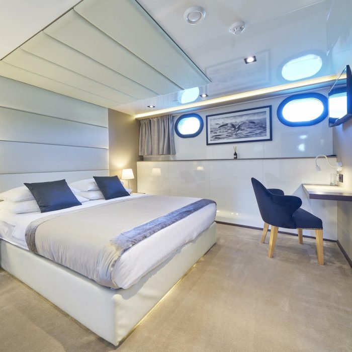 Rara Avis | Luxury Sailing Yacht photo 100
