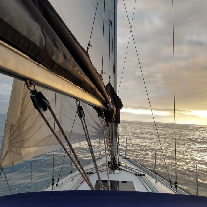 Alto Mare | Bavaria 36 Cruiser photo 1