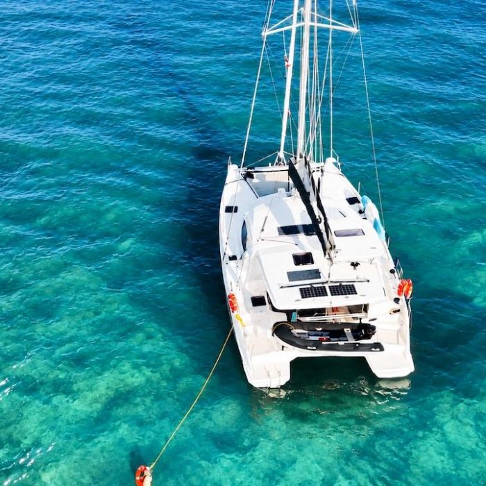 Moana photo 28