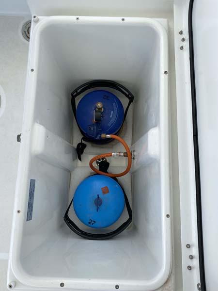 Dreamelli | Lagoon 450 F - 4 + 2 cab. photo 24