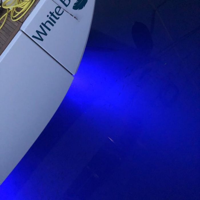 White Bird | Oceanis Yacht 54 photo 41