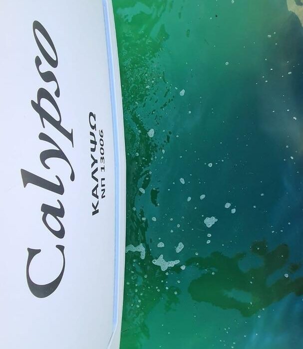 Calypso | Sun Odyssey 440 photo 15