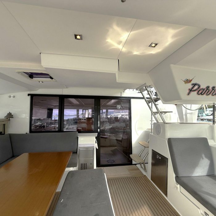 Parrot Ice | Saona 47 photo 11