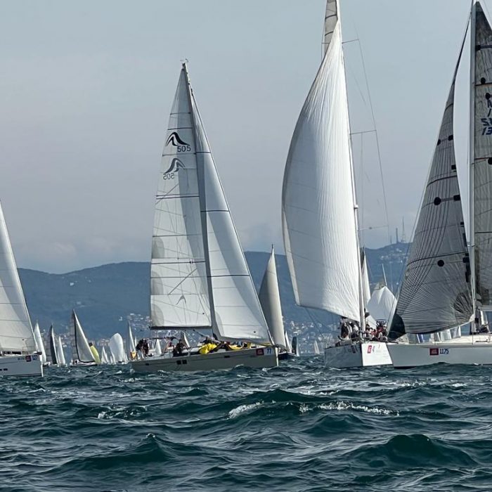 Wrungel | Hanse 505 photo 7