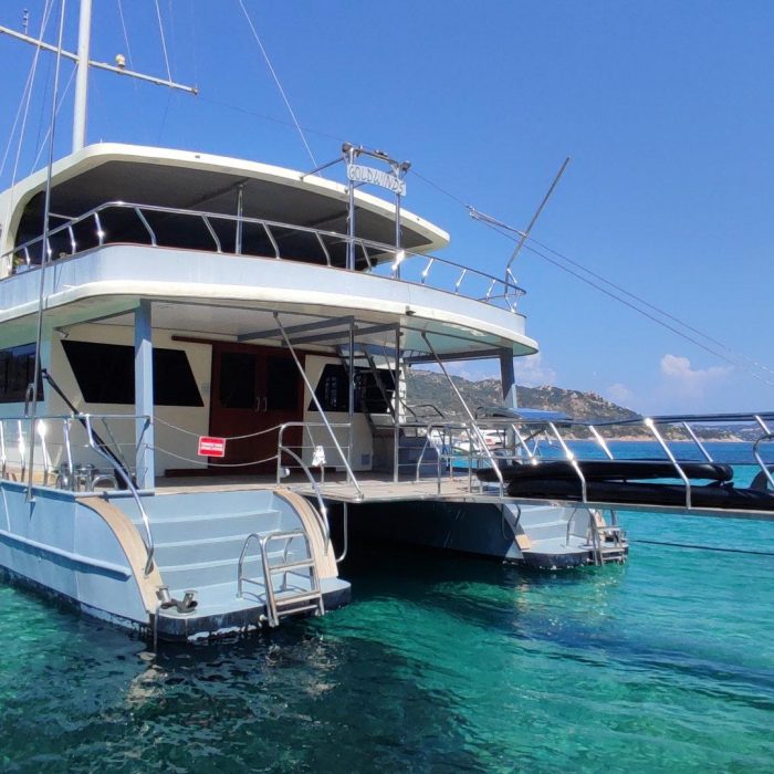 Gold Wind | Catamaran photo 3