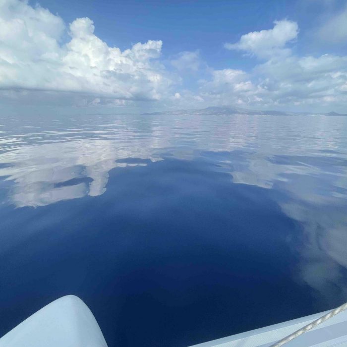 Premium + | Lagoon 42 photo 18