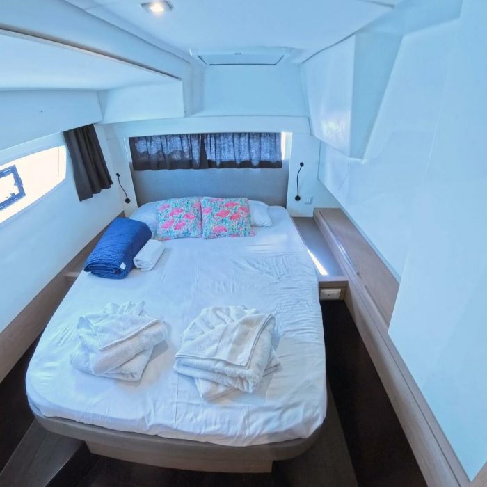 Parrot Ice | Saona 47 photo 17