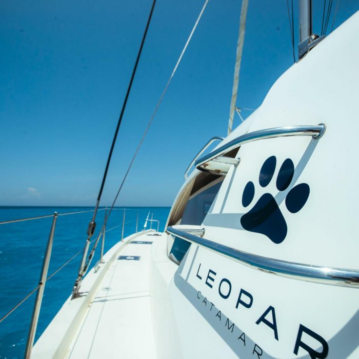 Sunday Kinga | Leopard 48 photo 21