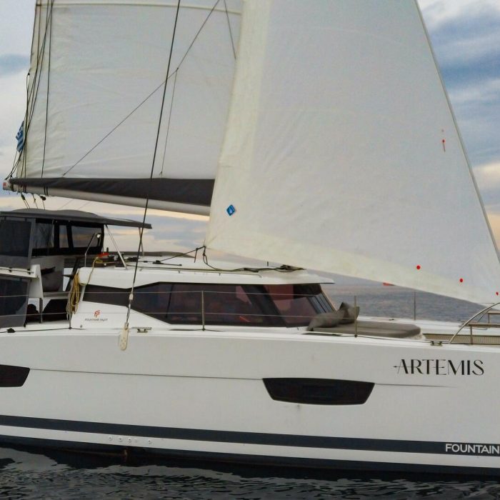 Artemis photo 2