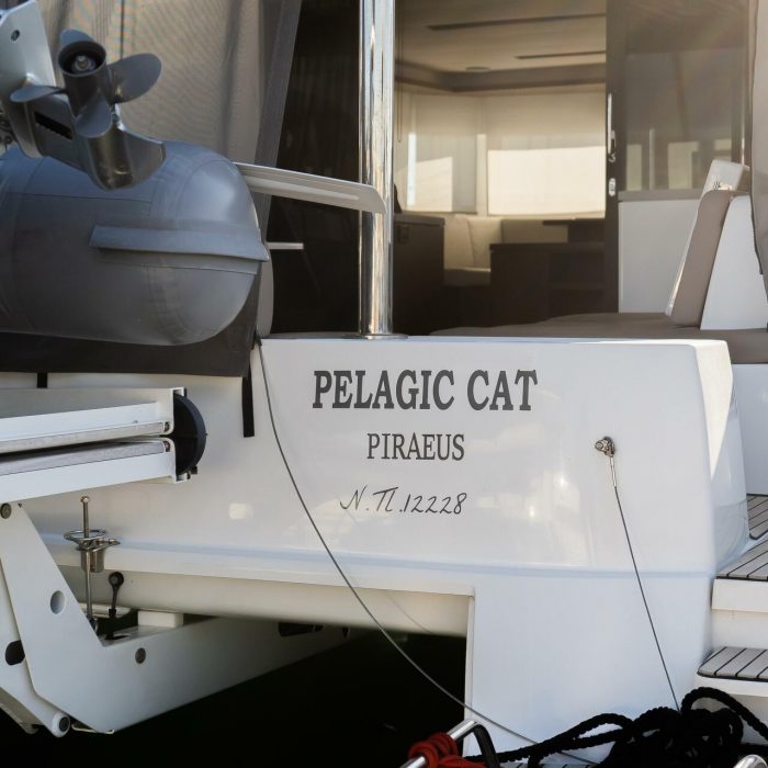 PELAGIC CAT | Lagoon 50 photo 19