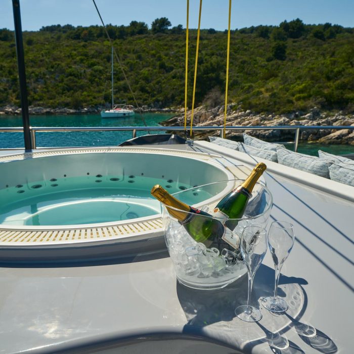 Rara Avis | Luxury Sailing Yacht photo 45