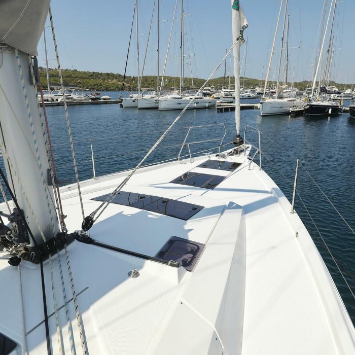Salacia - OW photo 3