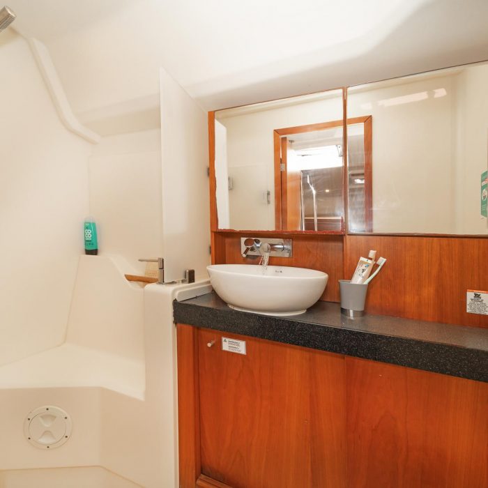 Caitlin of Lorne | Hanse 455 photo 20