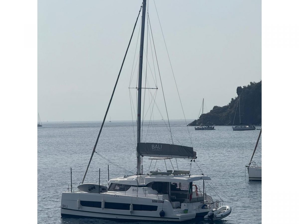 Premium | Bali Catspace